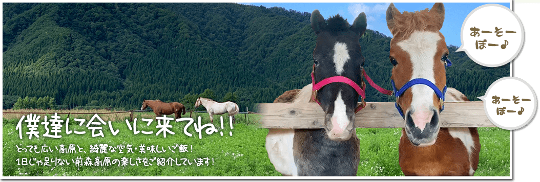 僕たちに会いに来てね！
